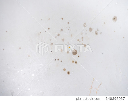 Mold on the enamel in the bathroom. Mold spores in the bathroom. Black dots on a white background. The problem of everyday life. The need for a cleaning product. Mold on the enamel in the bathroom. Mold spores in the bathroom. Black dots on a white background. The problem of everyday life. The need for a cleaning product. 140896937