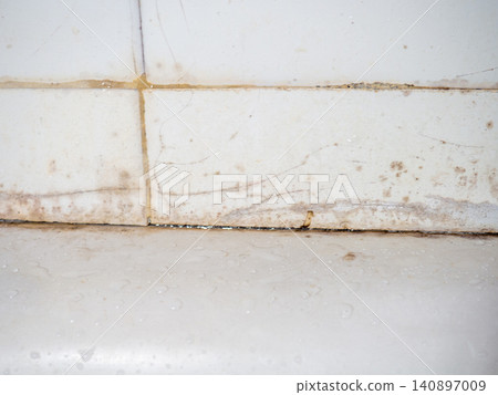 Dirty tiles in the bathroom. Black dots on bathroom enamel. Mold in the bathroom. Need a cleaning product. Cleaning product concept Dirty tiles in the bathroom. Black dots on bathroom enamel. Mold in the bathroom. Need a cleaning product. Cleaning product concept 140897009