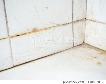 Dirty tiles in the bathroom. Black dots on bathroom enamel. Mold in the bathroom. Need a cleaning product. Bacteria. Dirty tiles in the bathroom. Black dots on bathroom enamel. Mold in the bathroom. Need a cleaning product. Bacteria. 140897012