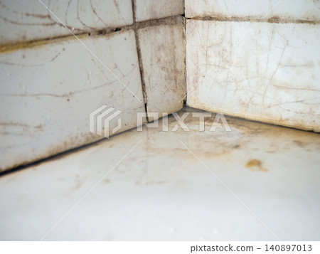 Dirty tiles in the bathroom. Black dots on bathroom enamel. Mold in the bathroom. Need a cleaning product. Cleaning product concept Dirty tiles in the bathroom. Black dots on bathroom enamel. Mold in the bathroom. Need a cleaning product. Cleaning product concept 140897013