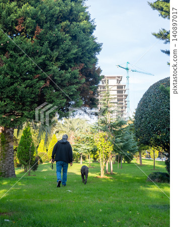 A man walks a large dog in the park. Back view. Retreating figures of a man and a dog. Vacation with a pet at the resort. A man walks a large dog in the park. Back view. Retreating figures of a man and a dog. Vacation with a pet at the resort. 140897017