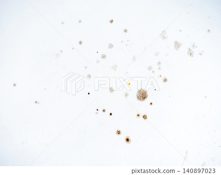 Mold on bathroom enamel. Mold spores in the bathroom. Black dots on a white background. A problem for everyday life. The need for a cleaning agent. Mold on bathroom enamel. Mold spores in the bathroom. Black dots on a white background. A problem for everyday life. The need for a cleaning agent. 140897023