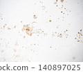 Mold on bathroom enamel. Mold spores in the bathroom. Black dots on a white background. A problem for everyday life. The need for a cleaning agent. 140897025