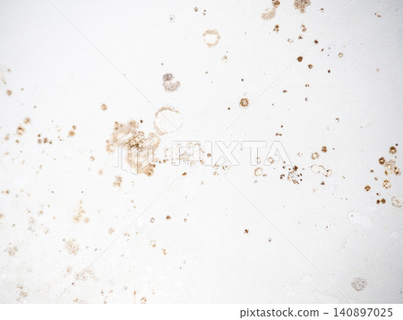 Mold on bathroom enamel. Mold spores in the bathroom. Black dots on a white background. A problem for everyday life. The need for a cleaning agent. Mold on bathroom enamel. Mold spores in the bathroom. Black dots on a white background. A problem for everyday life. The need for a cleaning agent. 140897025