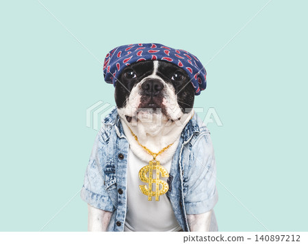 Cute French bulldog with gold dollar sign necklace 140897212