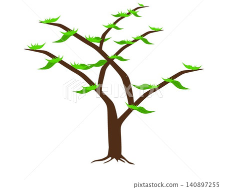 Budding tree with small green leaves sprouting isolated on white background. Budding tree with small green leaves sprouting isolated on white background. 140897255
