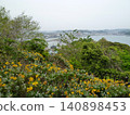 Enoshima 140898453