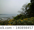 Enoshima 140898457