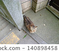 Enoshima 140898458
