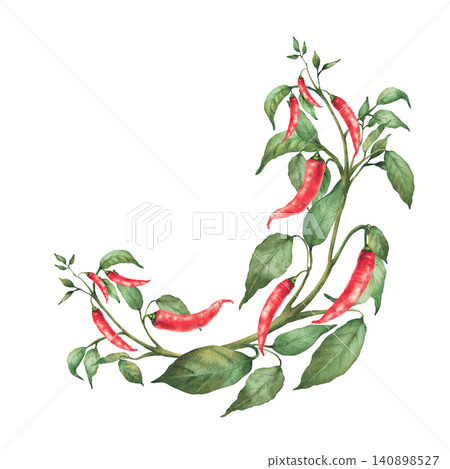 Hot Chili pepper plant semicircular frame. Watercolor painting of red pods, green leaves on the vegetables branch. Botanical realistic illustration, circle template for gardening, food spicy. Isolated Hot Chili pepper plant semicircular frame. Watercolor painting of red pods, green leaves on the vegetables branch. Botanical realistic illustration, circle template for gardening, food spicy. Isolated 140898527