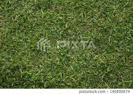Lush green grass natural background texture showing growth Lush green grass natural background texture showing growth 140898674