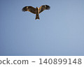 Birds soaring in the blue sky 140899148