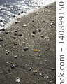 Waves crashing on the sandy beach and seashells 140899150