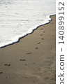 Dog footprints leading to the waterline 140899152