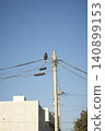 A bird perched on a power line against a blue sky 140899153