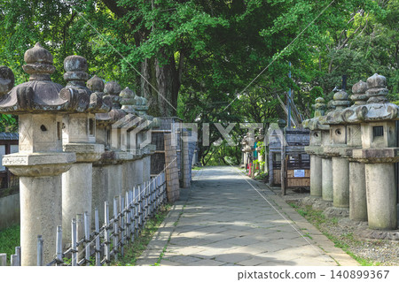 April 25 2026 Ueno Toshogu Shrine Pathway With Stone Lanterns April 25 2026 Ueno Toshogu Shrine Pathway With Stone Lanterns 140899367