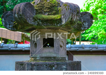 April 25 2026 Ueno Toshogu Shrine Pathway With Stone Lanterns April 25 2026 Ueno Toshogu Shrine Pathway With Stone Lanterns 140899380
