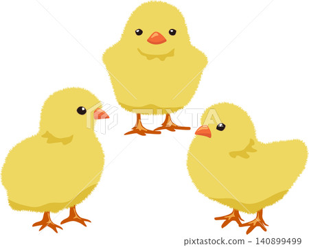 Three cute chicks Three cute chicks 140899499