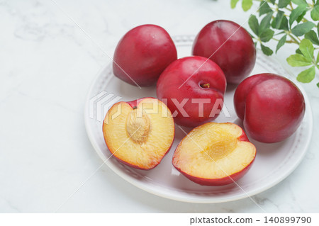 Fruit of a plum Fruit of a plum 140899790