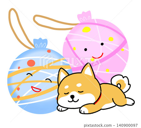 一隻柴犬睡在粉紅色和淺藍色水球前 一隻柴犬睡在粉紅色和淺藍色水球前 140900097