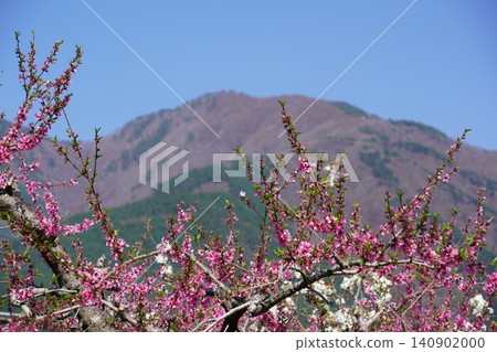 請欣賞長野縣埴科郡榊町山區盛開的山櫻。這是從上平市的防火瞭望塔拍攝的景色。 請欣賞長野縣埴科郡榊町山區盛開的山櫻。這是從上平市的防火瞭望塔拍攝的景色。 140902000