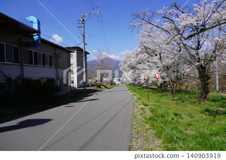 The cherry blossom trees along the Mido River are in full bloom in Nakanojo, Sakaki-machi, Hanishina-gun, Nagano Prefecture. 140903919
