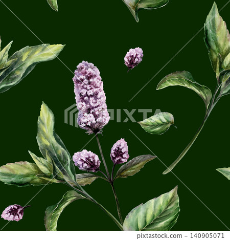 Mint seamless pattern watercolor illustration on dark background. Mentha medicinal herb for premium calming spa branding, stress relief oil packaging, organic sleep aromatherapy wellness print Mint seamless pattern watercolor illustration on dark background. Mentha medicinal herb for premium calming spa branding, stress relief oil packaging, organic sleep aromatherapy wellness print 140905071
