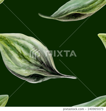 Plantain leaves seamless pattern watercolor illustration on dark background. Plantago foliage for premium men grooming packaging, organic cosmetics branding, luxury herbal wellness textile print Plantain leaves seamless pattern watercolor illustration on dark background. Plantago foliage for premium men grooming packaging, organic cosmetics branding, luxury herbal wellness textile print 140905073