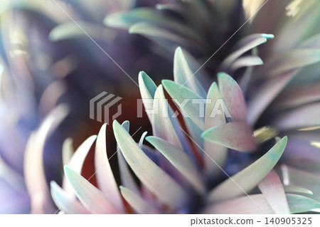 A close-up photograph of a gerbera dyed blue. A close-up photograph of a gerbera dyed blue. 140905325