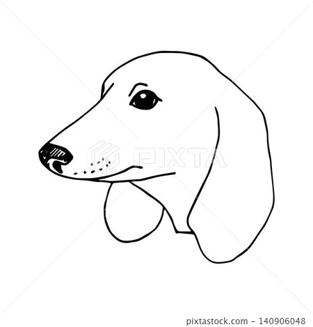 Simple hand drawn vector drawing in black outline. Cartoon doodle head of a dog in profile isolated on a white background. For labels, stickers, logo, veterinary, pet shop. Dachshund breed. 140906048