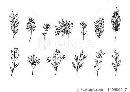 Simple vector freehand set of black outline. The contour of delicate flowers, twigs, leaves, bouquets, field grass in a rustic style on a white background. Elements of nature, plants for decoration. Simple vector freehand set of black outline. The contour of delicate flowers, twigs, leaves, bouquets, field grass in a rustic style on a white background. Elements of nature, plants for decoration. 140906247