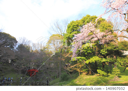 Koishikawa Korakuen Sakura Tokyo Koishikawa Korakuen Sakura Tokyo 140907032
