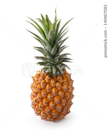 鳳梨 水果 熱帶 去背 裁剪路徑 fresh pineapple fruit パイナップル 鳳梨 水果 熱帶 去背 裁剪路徑 fresh pineapple fruit パイナップル 140907082