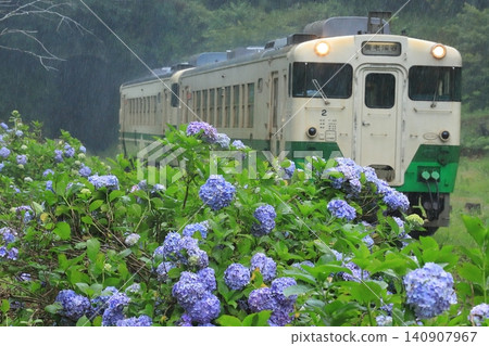 Kominato Railway: "A train running through hydrangeas and heavy rain." Kominato Railway: "A train running through hydrangeas and heavy rain." 140907967