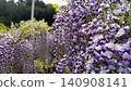 Fuyu's flowers in full bloom Fuyu's flowers in full bloom 140908141