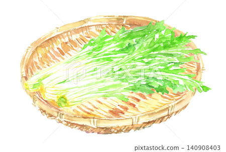 Watercolor illustration of mizuna (Japanese mustard greens) in a basket Watercolor illustration of mizuna (Japanese mustard greens) in a basket 140908403