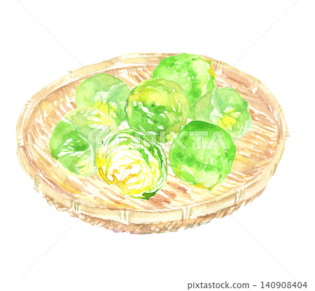 籃子裡的球芽甘藍水彩插圖 140908404