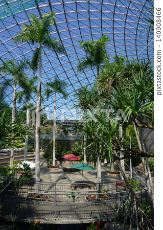 Japan's largest flower park "Tottori Flower Corridor": Inside the Flower Dome Japan's largest flower park "Tottori Flower Corridor": Inside the Flower Dome 140908466