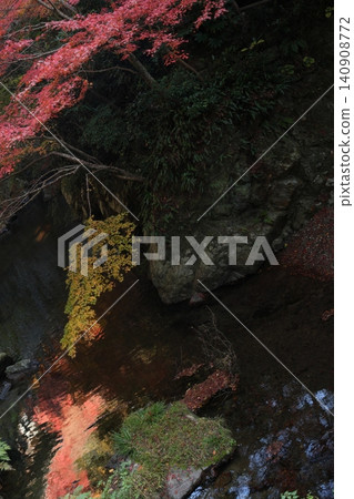 Autumn leaves and rivers Autumn leaves and rivers 140908772