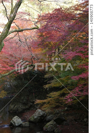 Landscape with autumn leaves Landscape with autumn leaves 140908773