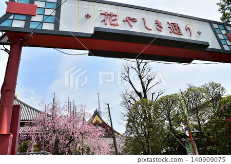 日本東京淺草的古老街道,櫻花盛開,天空湛藍,可以看到淺草寺、東京晴空塔和花屋敷通的路牌。 日本東京淺草的古老街道,櫻花盛開,天空湛藍,可以看到淺草寺、東京晴空塔和花屋敷通的路牌。 140909075