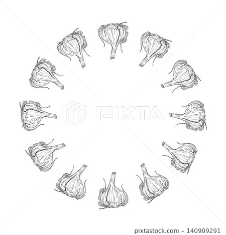 Elegant vector frame with hand drawn garlic bulbs in botanical line art style. Decorative culinary border 140909291