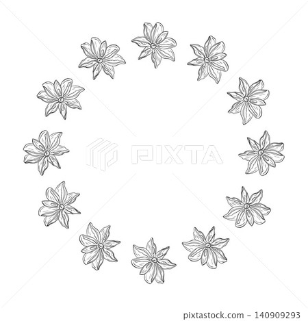 Elegant vector frame with hand drawn star anise in botanical line art style. Decorative spice border 140909293