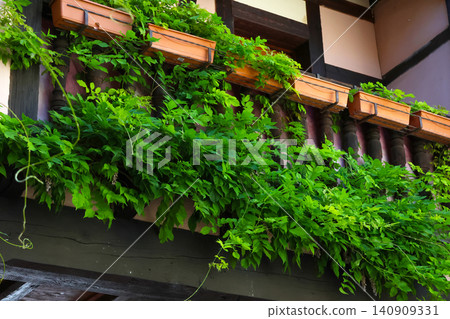 Lush Balcony with Vibrant Greenery and Wooden Planters for Architectural Design Inspiration Lush Balcony with Vibrant Greenery and Wooden Planters for Architectural Design Inspiration 140909331