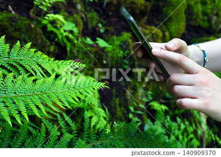 Nature Photography Adventure: Capturing the Beauty of Lush Green Ferns Outdoors Nature Photography Adventure: Capturing the Beauty of Lush Green Ferns Outdoors 140909370
