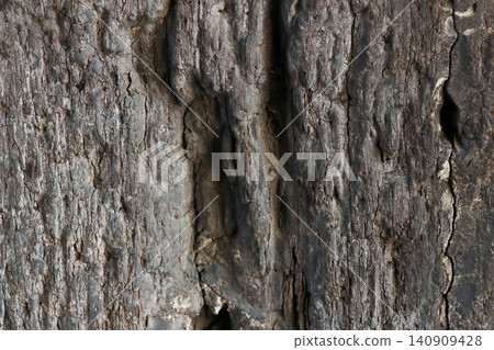 Natural Wood Texture: Detailed Close-Up of Weathered Tree Bark for Design and Background Use Natural Wood Texture: Detailed Close-Up of Weathered Tree Bark for Design and Background Use 140909428