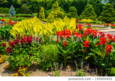 [Kyoto Scenery] Kyoto Prefectural Botanical Garden: Delicate flowers blooming in a break in the June rainy season. 140909483