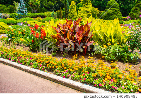 [Kyoto Scenery] Kyoto Prefectural Botanical Garden: Delicate flowers blooming in a break in the June rainy season. 140909485
