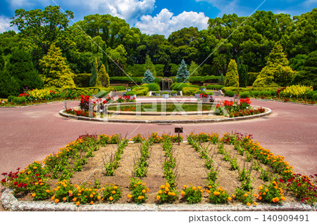 [Kyoto Scenery] Kyoto Prefectural Botanical Garden: Delicate flowers blooming in a break in the June rainy season. 140909491