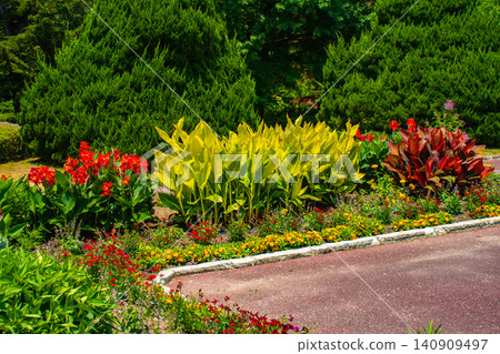 [Kyoto Scenery] Kyoto Prefectural Botanical Garden: Delicate flowers blooming in a break in the June rainy season. 140909497
